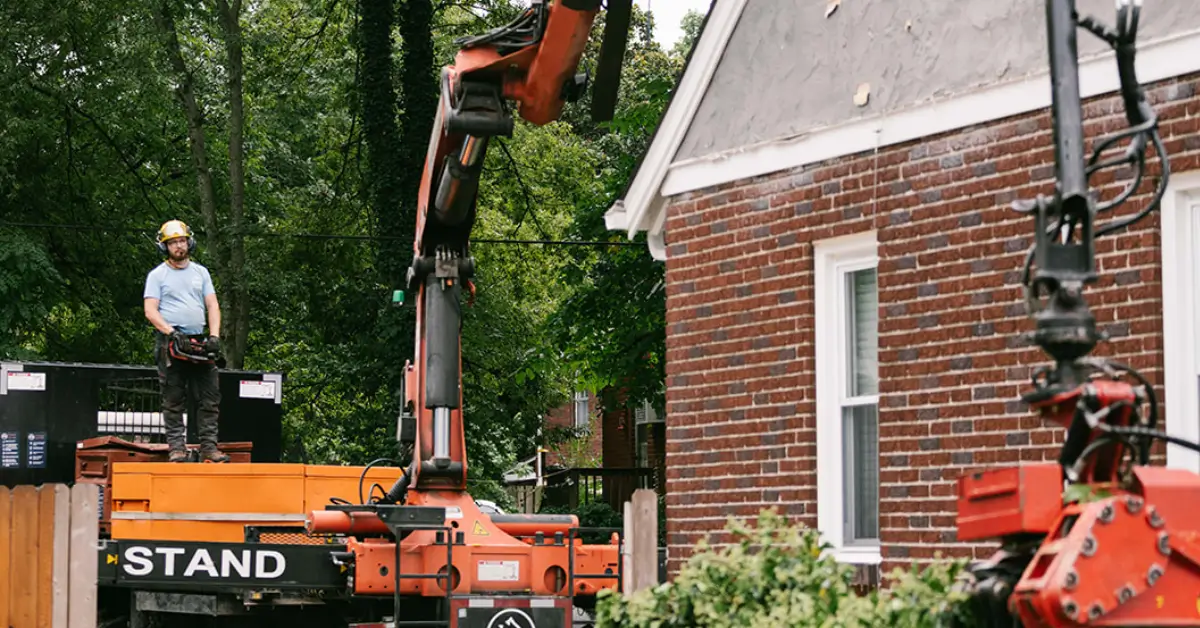 Crane truck lowering branches beside a brick house