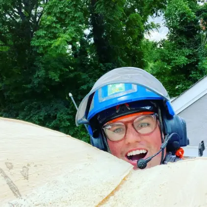 Experienced tree care professionals trimming and removing overgrown branches from a large tree in Nashville TN