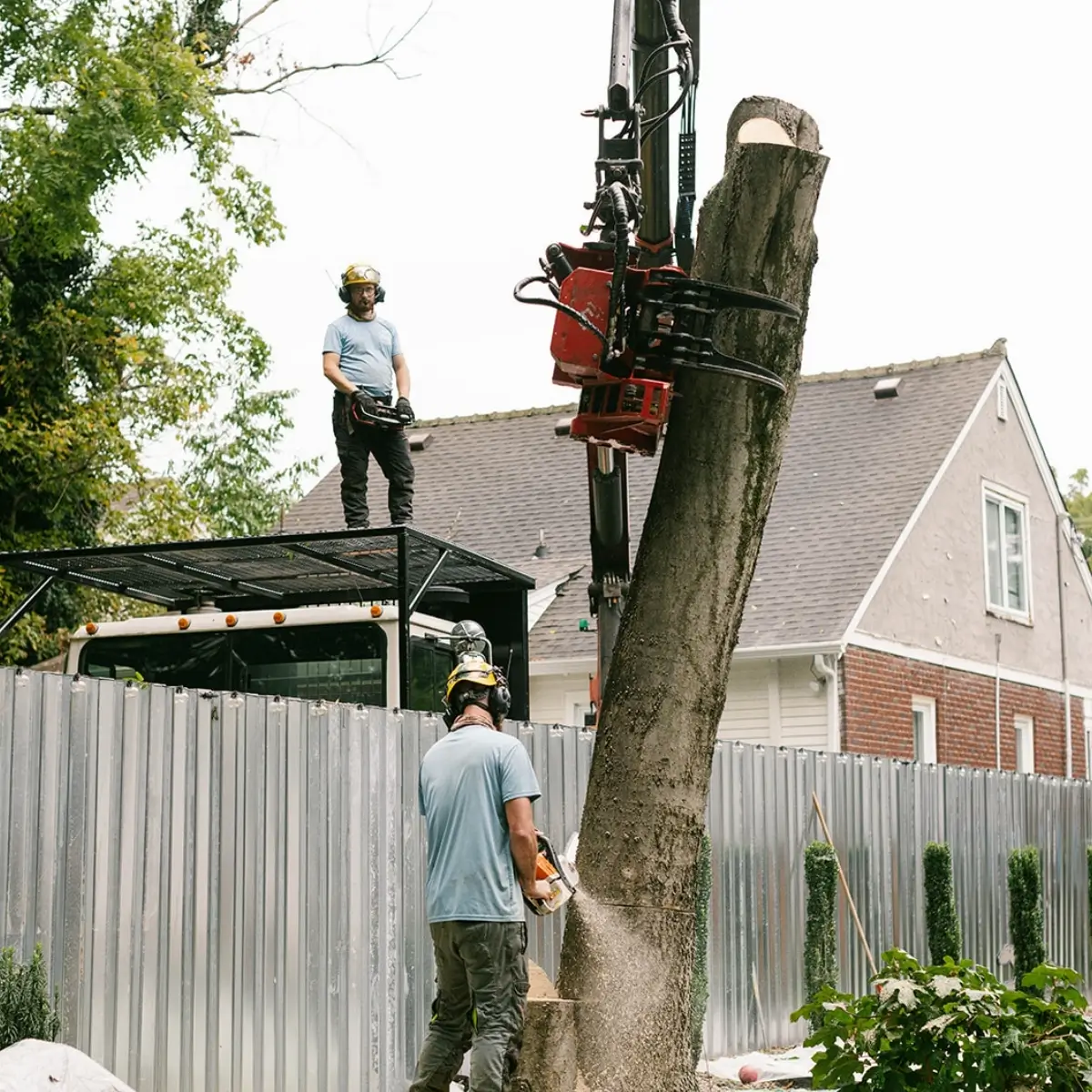 Chop Nashville tree service crew providing professional tree care in Oak Hill, TN