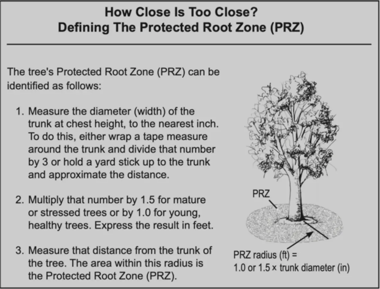 How close to my tree can I build?