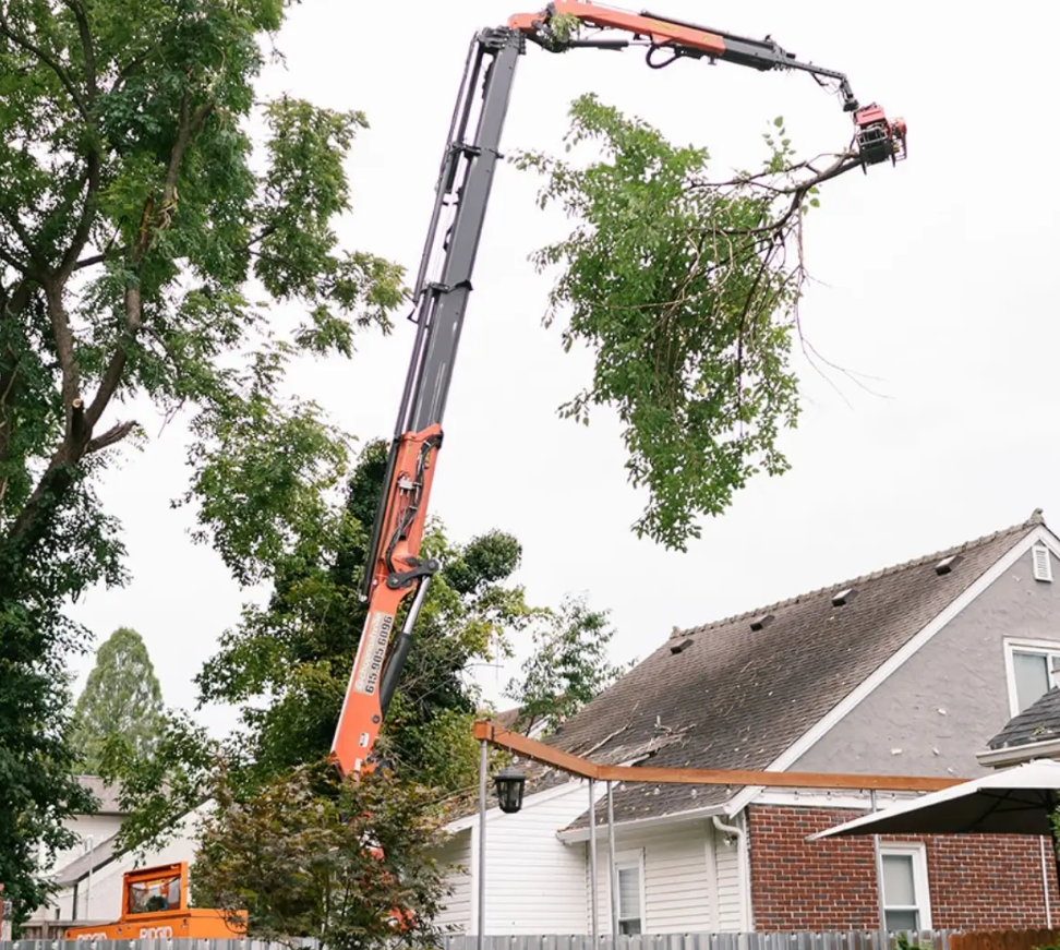 Chop Nashville crew using a crane for tight-space tree removal